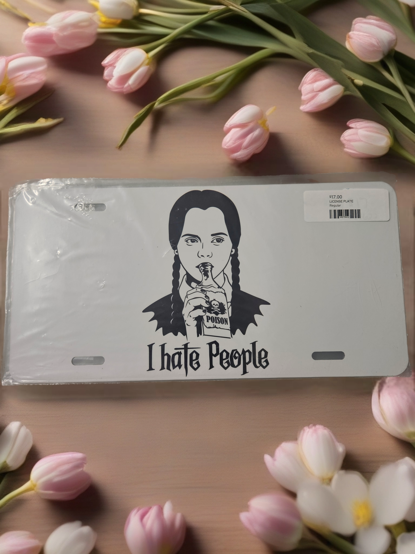 License Plate - "I Hate People"