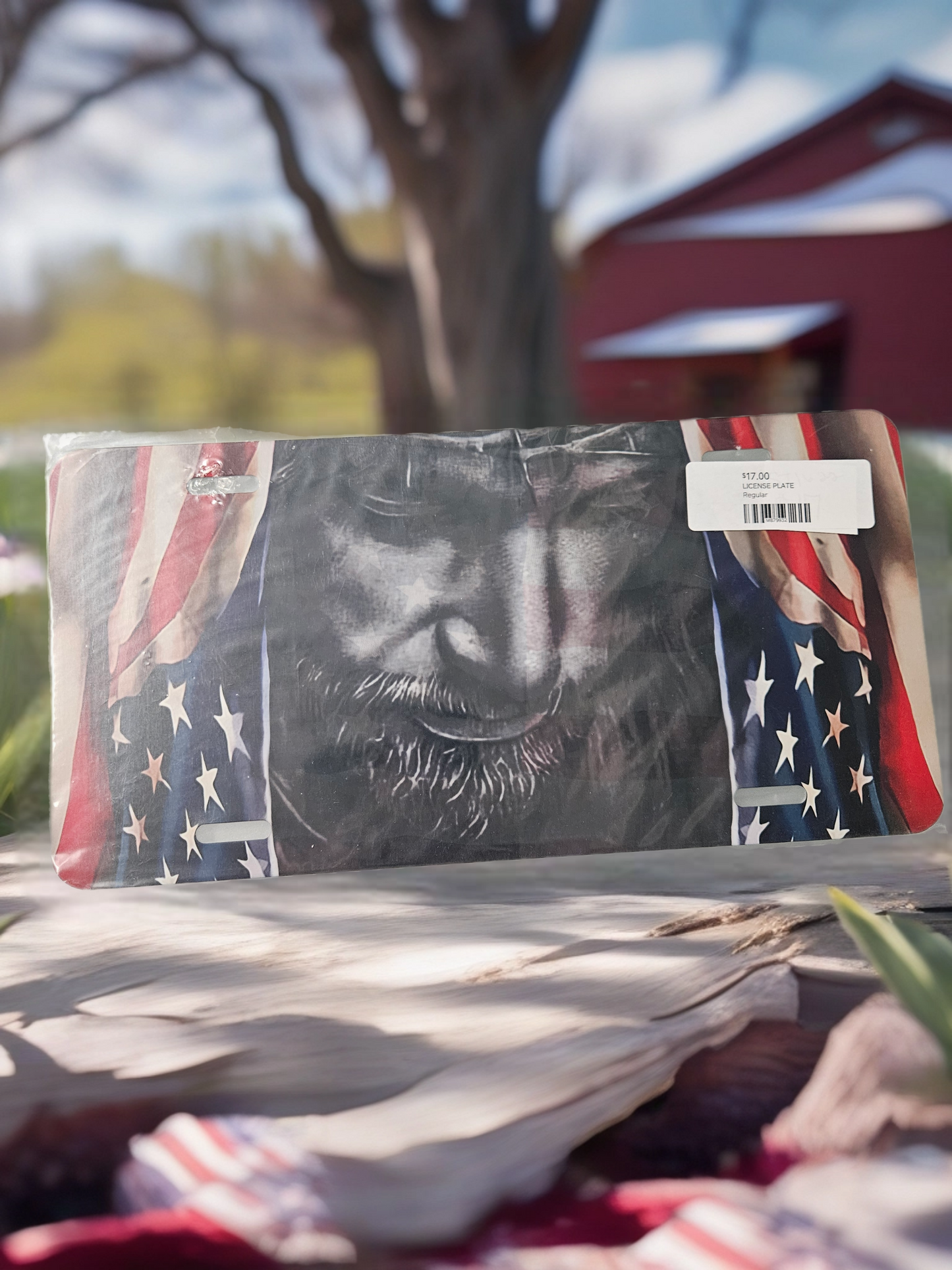 License Plate - Jesus